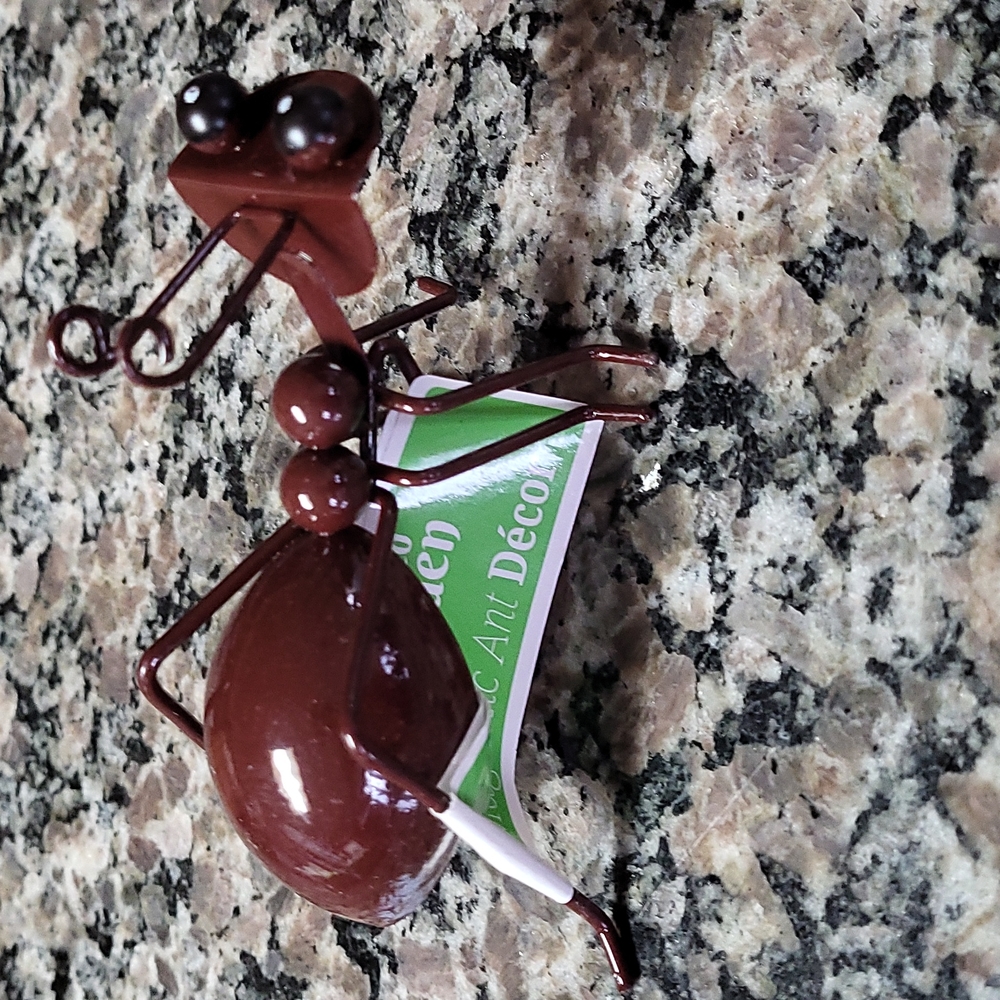 Enchanted Garden Magnetic Art DECOR BROWN Ant new w tags LOT OF 2- black eyes